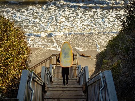 Santa Barbara's Surfing Paradise: Exploring the Magic of Seaeweed
